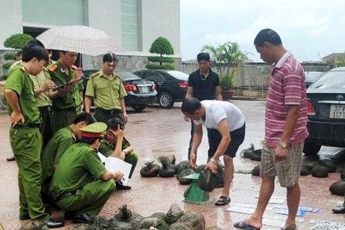 ASEAN siết chặt vòng vây tội phạm động vật hoang dã