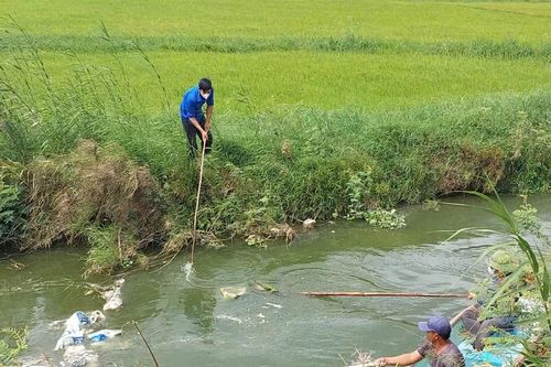 Xã Đông Trạch: Xử lý, chôn lấp hàng chục con lợn chết do dịch bệnh