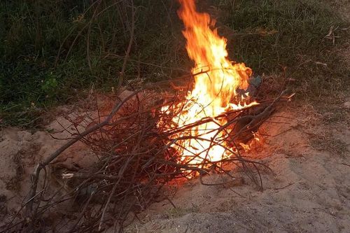 Phát hiện nhiều xác heo vứt bừa bãi ở bờ kè cầu Đồng Xiêm
