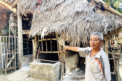 Xã Tuyên Bình: Xuất hiện dịch bệnh viêm da nổi cục trên trâu, bò