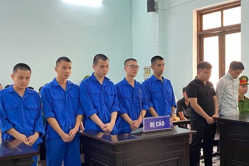Làm giả hàng loạt giấy phép lái xe, hai bị cáo lĩnh án tù