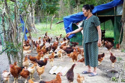 Gương sáng Hồ Thị Pan