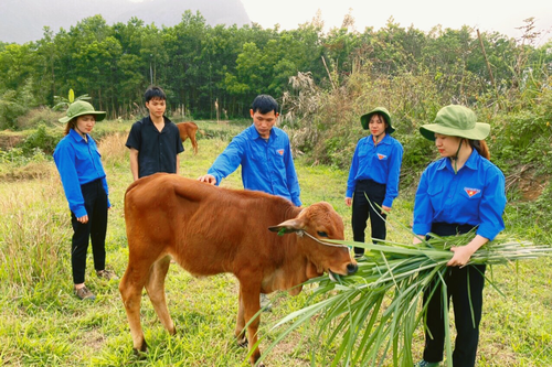 Đoàn Kinh tế - Quốc phòng 327 (Quân khu 3): Giúp dân là mệnh lệnh không lời