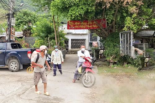 Không để dịch tả heo châu Phi bùng phát