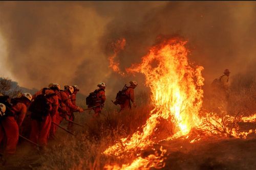 Cháy rừng lan nhanh ở California (Mỹ) khiến hàng nghìn người sơ tán khẩn cấp