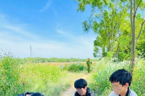 Trai làng ra đồng 'đập đá'