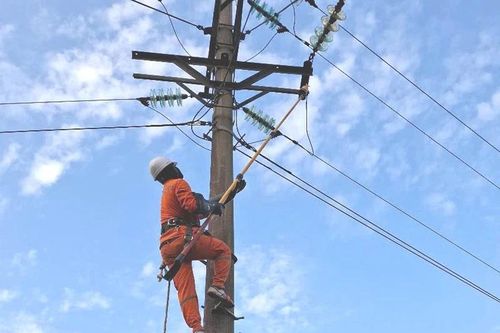 Đội Quản lý điện lực khu vực Ngọc Lặc - Lang Chánh đảm bảo an toàn lưới điện trong mùa mưa, bão