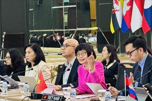 Việt Nam chủ trì cuộc họp Tham vấn lần thứ 15 của Nhóm Đặc trách IAI với các đối tác của ASEAN