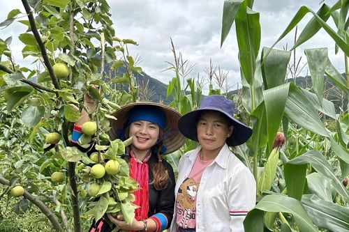 'Sống khỏe' nhờ kết hợp nông nghiệp sạch - du lịch xanh