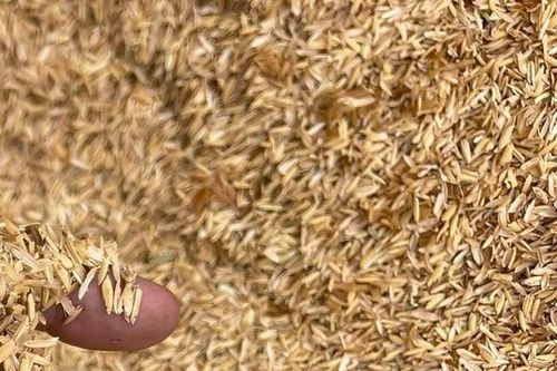 'Mỏ vàng' của ngành nông nghiệp