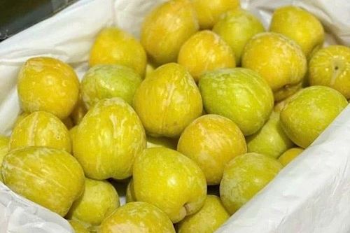 Giá mận cau Trung Quốc giảm sốc từ 450.000 xuống còn 25.000 đồng/kg