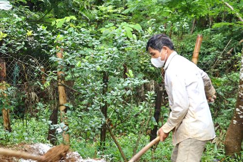 Xử lý nghiêm việc buôn bán, vận chuyển trái phép lợn bệnh