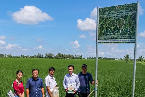 Phường Láng Tròn: Hướng tới đô thị sinh thái, hiện đại, năng động