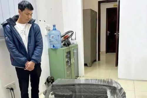 Từ vụ án 'con gà lôi': Phải tuyên truyền pháp luật để dân hiểu, dân biết và không phạm tội