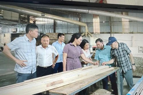 Thanh Hóa tăng tốc xúc tiến thương mại, khuyến công và tiết kiệm năng lượng