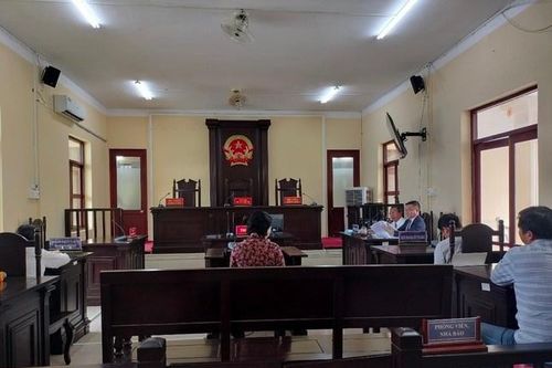 Phục hồi điều tra vụ nữ đại gia thủy sản bị cáo buộc hủy hoại tài sản