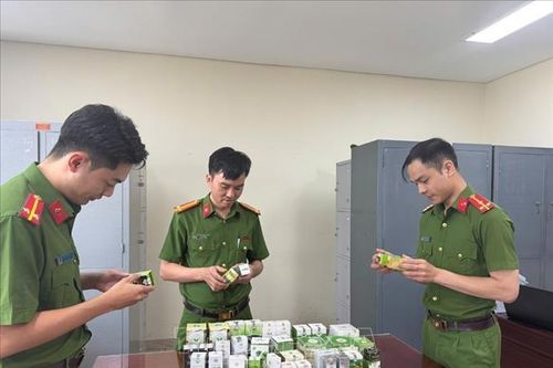 'Chủ công', 'mũi nhọn' trong đấu tranh phòng, chống tội phạm tham nhũng, kinh tế, buôn lậu