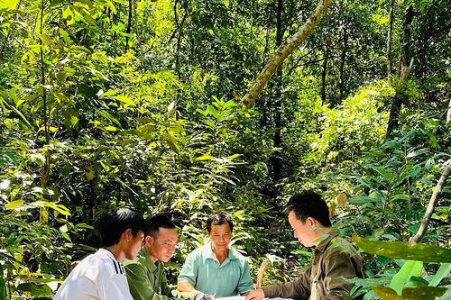 Lợi ích kép từ việc giao khoán rừng ở Canh Liên