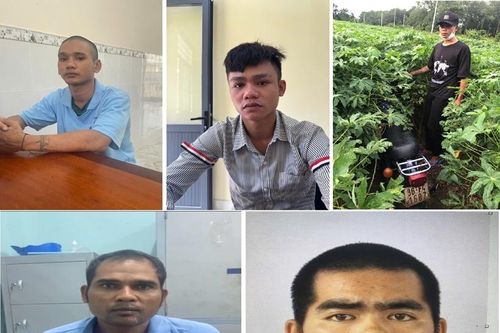 Bắt nhóm đối tượng thực hiện 7 vụ trộm cắp tài sản của người dân