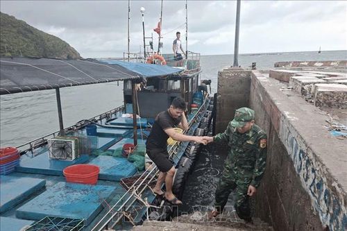 10 thuyền viên được cứu vớt an toàn vùng biển Cô Tô