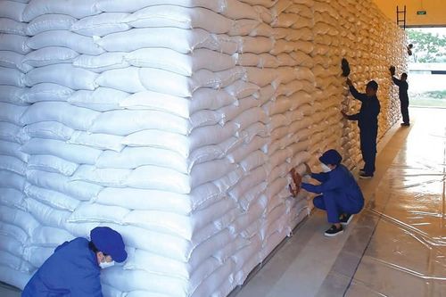 Dồn lực hoàn thành nhập bổ sung 280.000 tấn lương thực dự trữ quốc gia.