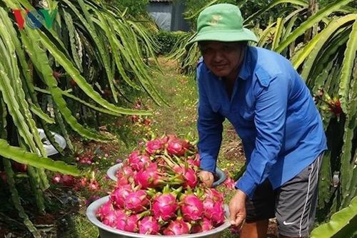 Nông dân muốn tham gia vào HTX để ổn định cuộc sống