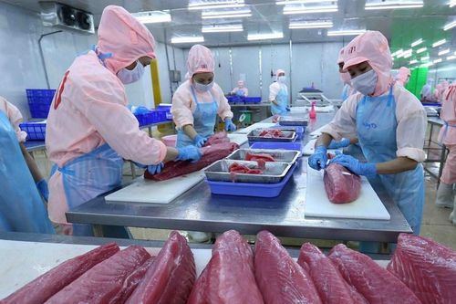 Mỹ áp thuế đối ứng 20%: Cơ hội để doanh nghiệp Việt tái cấu trúc, nâng cao năng lực