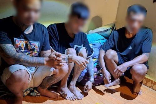 Tóm cả 'ổ nghiện'