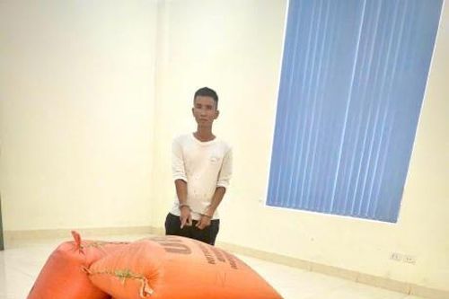 'Nông tặc' khuân trộm 4 tạ thóc