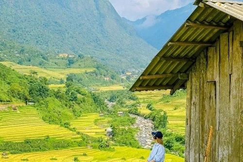 Sa Pa mùa lúa chín những góc sống ảo 'chất lừ' cho tín đồ mê ảnh