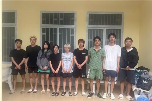 Khởi tố đường dây cung cấp 'bóng cười' tại TP Hồ Chí Minh