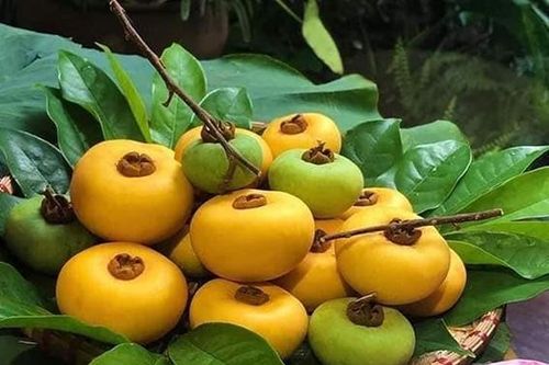 Quà của mùa thu