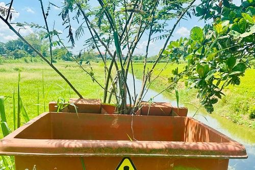 Xử lý bao bì thuốc bảo vệ thực vật để bảo vệ môi trường sống