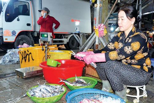 Một đêm ở chợ đầu mối - Bài 1: Thức cùng chợ đêm