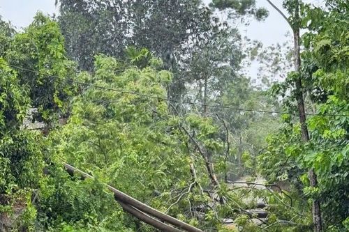 Bão số 5 quật đổ nhiều cột điện, gần 400.000 khách hàng ở Hà Tĩnh mất điện