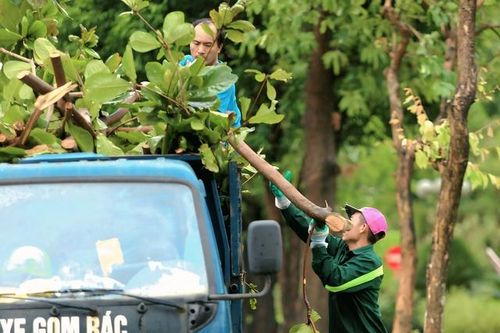 Nỗ lực giải tỏa nhiều tuyến phố Nghệ An sau bão