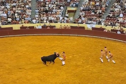 Khoảnh khắc kinh hoàng đấu sĩ bị bò 680 kg hất văng tử nạn