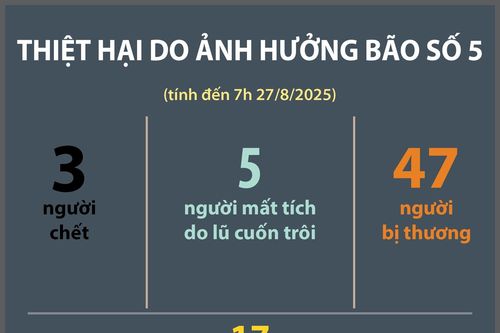 Thiệt hại do ảnh hưởng bão số 5