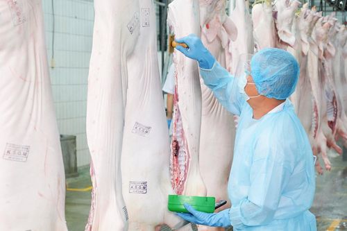 VISSAN: Chủ động vượt khó, tăng tốc để hoàn thành kế hoạch năm