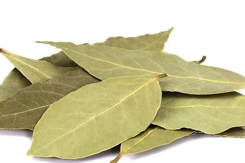 Loại lá rụng đầy vườn ở Việt Nam, ra nước ngoài 2 triệu đồng/kg