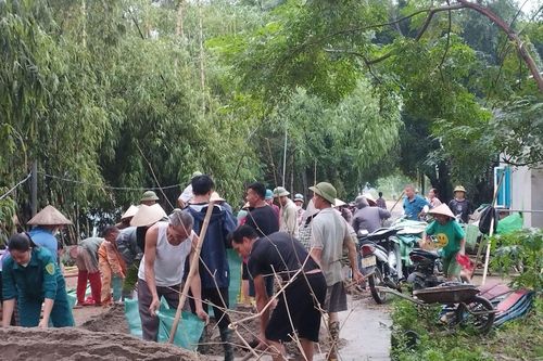 Hàng trăm người trắng đêm xử lý sự cố đê chống lũ rừng ngang ở Mỹ Đức (Hà Nội)