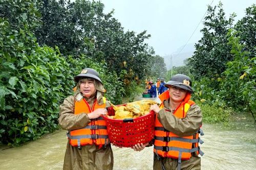 Sau bão, người dân xứ Nghệ lại gồng mình với lũ lụt