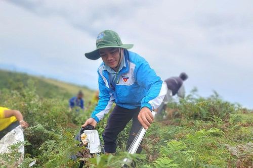 Chung tay làm đẹp thảo nguyên Bùi Hui