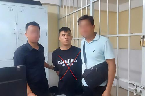 Bắt giữ đối tượng truy nã đặc biệt nguy hiểm