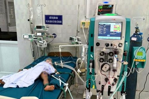 Một cháu bé tử vong vì bị ong vò vẽ
