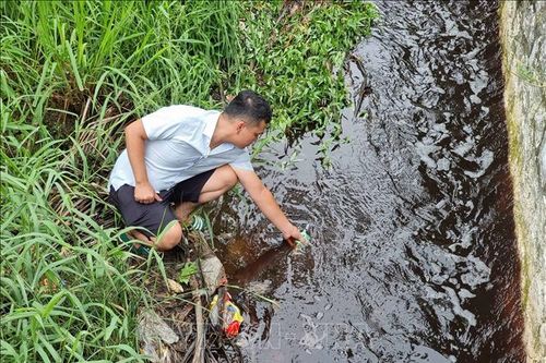 Cần xử lý dứt điểm nguồn xả thải gây ô nhiễm môi trường tại Khánh Hòa