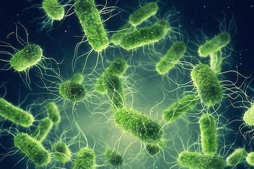 Tử vong do tả tăng 46% trên thế giới, Việt Nam ứng phó thế nào trước nguy cơ bệnh này có thể xâm nhập?