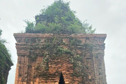 Lại bị mủn nát gạch phục chế