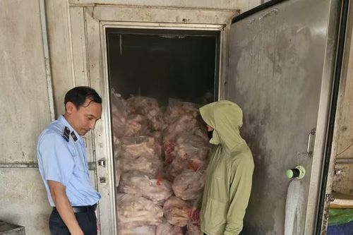Phát hiện vụ tàng trữ, kinh doanh hơn 3 tấn xương bò