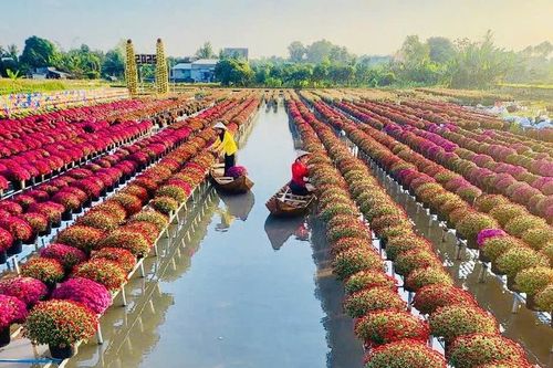 Festival Hoa-Kiểng Sa Đéc 2025: Bứt phá để khẳng định thương hiệu du lịch quốc tế